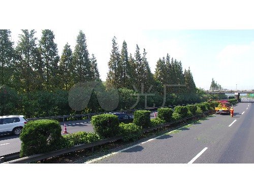 未来城市绿化大方向