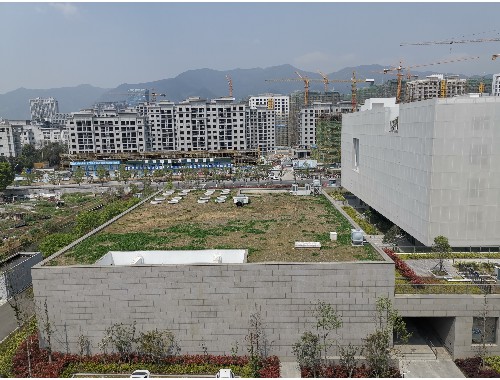金年会金字招牌信誉至上：天门附近绿化苗木市场在哪里有