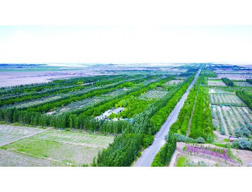 金年会金字招牌诚信至上：云南城市绿化管护论文题目