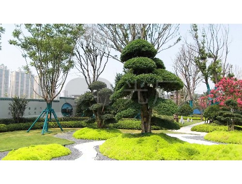 金年会金字招牌信誉至上：园林绿化工程分析