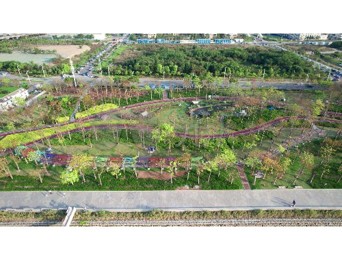 金年会金字招牌诚信至上：鄢陵自建房庭院绿化工程
