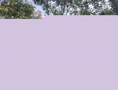 金年会金字招牌诚信至上：宜宾园林绿化工程技术